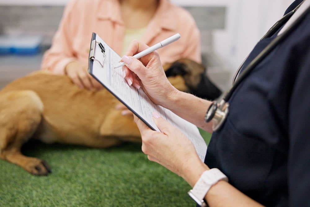 A veterinarian writes on a clipboard while a brown dog lies on an exam table and a person in a peach shirt sits beside the dog, gently touching it. The focus is on the vet’s hands.